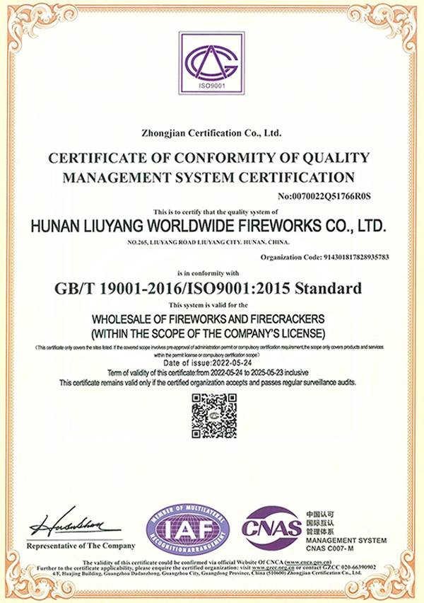 ISO9001 Certificate Audit