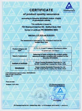 Module E Certificate